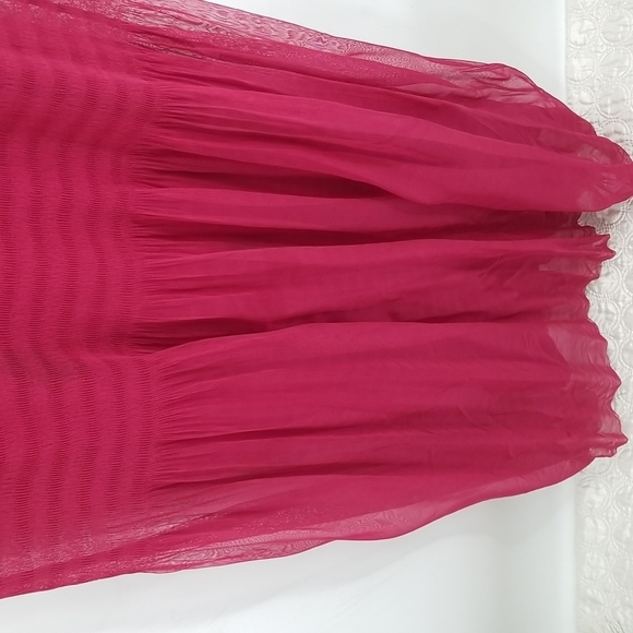 Zara Cranberry Dropped Waist Sheer Overlay Dress with Slip - Picture 6 of 13